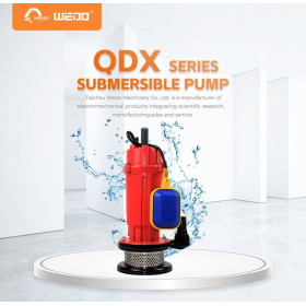 QDX 220V/50Hz Portable Électrique Pompe à eau submersible avec interrupteur à flotteur