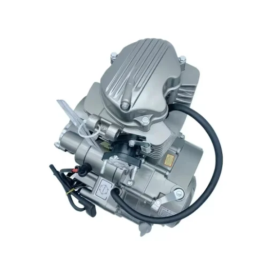 Moteur tricycle 200 CGCFA180,000